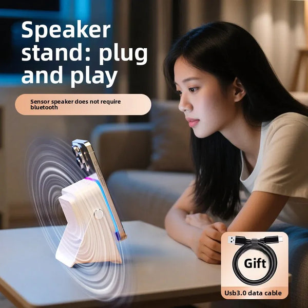 Induction Speaker Stand